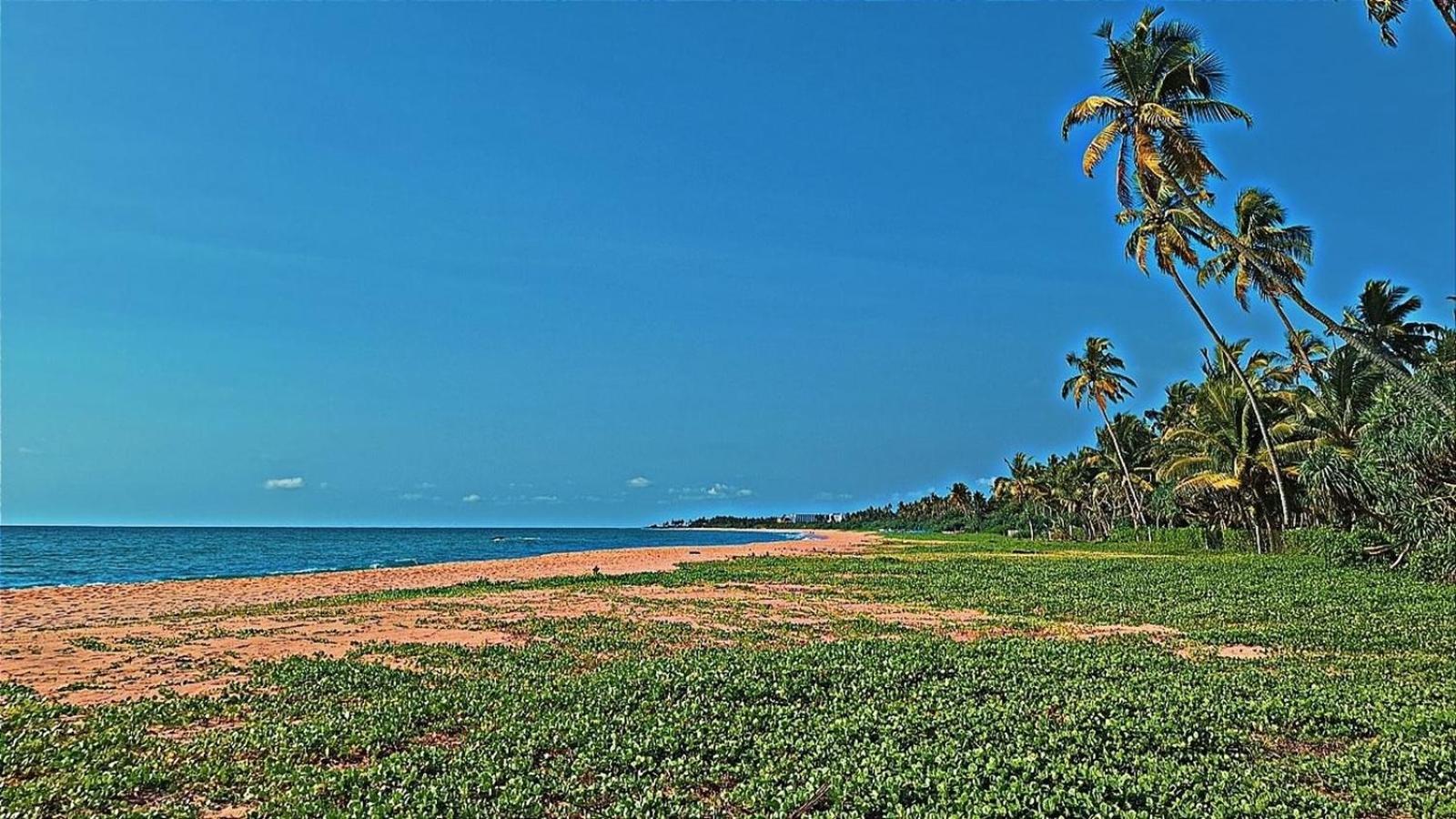 Raja Beach Hotel Balapitiya Exterior photo
