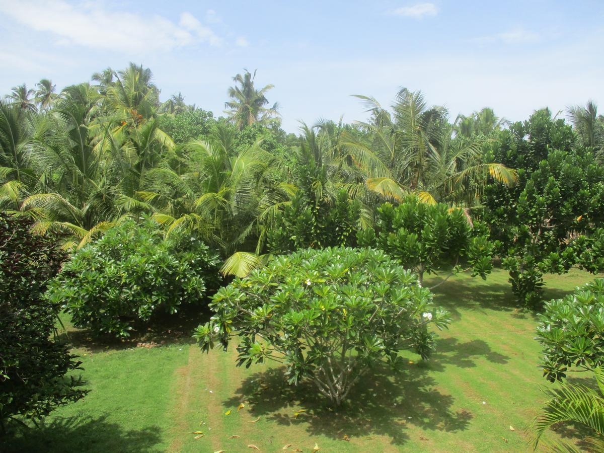 Raja Beach Hotel Balapitiya Exterior photo
